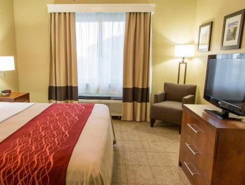 Comfort Inn DFW Airport North - image 41
