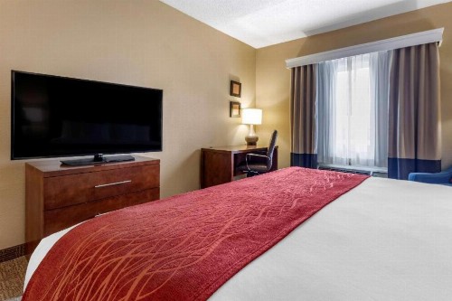 Comfort Inn DFW Airport North - image 42