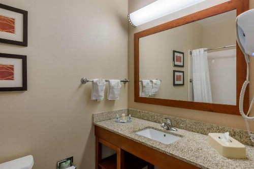 Comfort Inn DFW Airport North - image 43