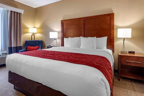 Comfort Inn DFW Airport North - image 44