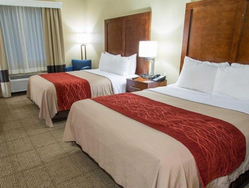 Comfort Inn DFW Airport North - image 45