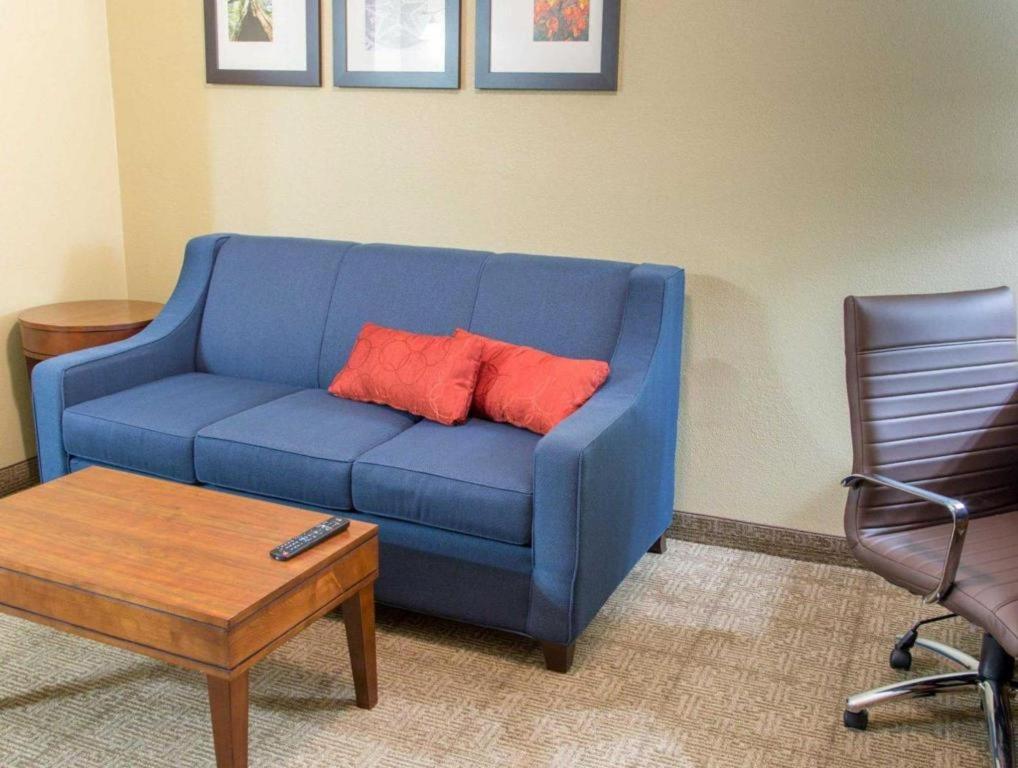 Comfort Inn DFW Airport North - image 6