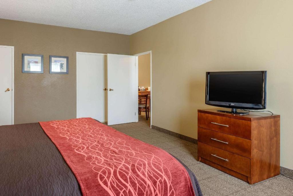 Comfort Inn DFW Airport North - image 7