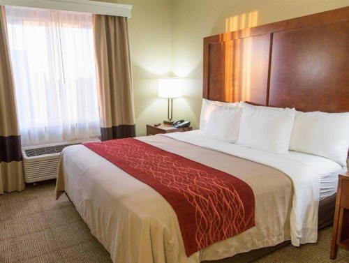 Comfort Inn DFW Airport North - image 8