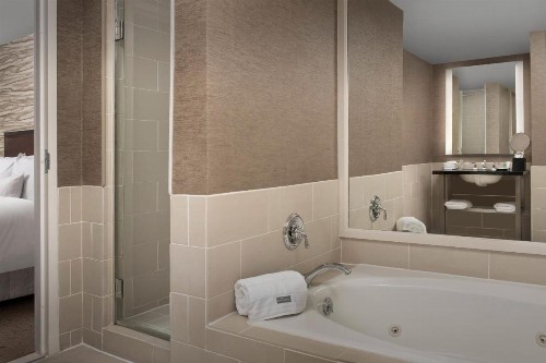 The Westin Dallas Fort Worth Airport - image 19