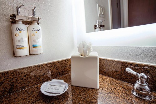 Holiday Inn Irving Las Colinas an IHG Hotel - image 29