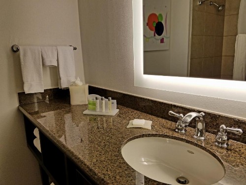 Holiday Inn Irving Las Colinas an IHG Hotel - image 5