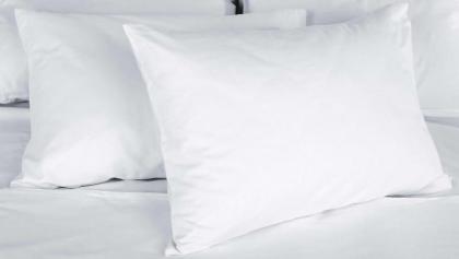 Magnuson Extended Stay and Suites Airport Hotel - image 14