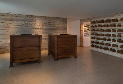 Amara Cay Resort - image 5