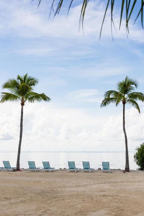 Fisher Inn Resort & Marina - image 35