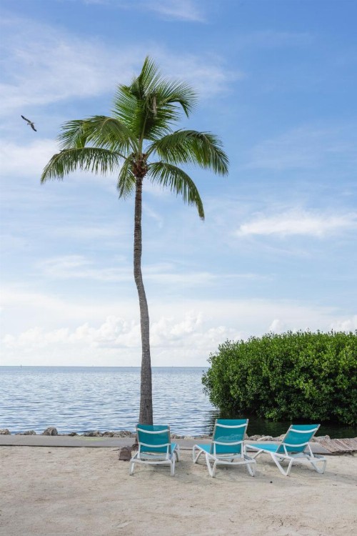 Fisher Inn Resort & Marina - image 46
