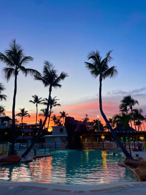 Coconut Cove Resort & Marina - image 13