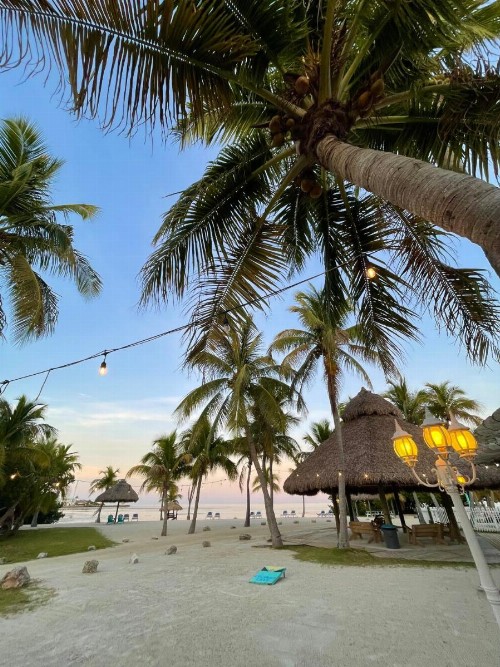 Coconut Cove Resort & Marina - image 14