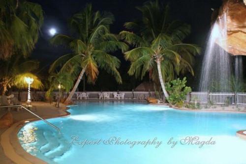 Coconut Cove Resort & Marina - image 2