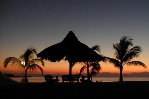 Coconut Cove Resort & Marina - image 4