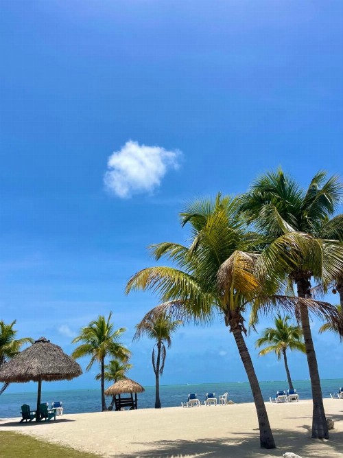 Coconut Cove Resort & Marina - image 47