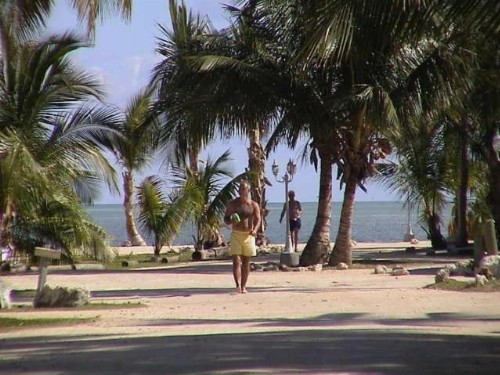 Coconut Cove Resort & Marina - image 5