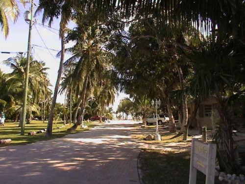 Coconut Cove Resort & Marina - image 6