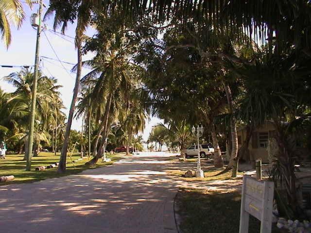 Coconut Cove Resort & Marina - image 6