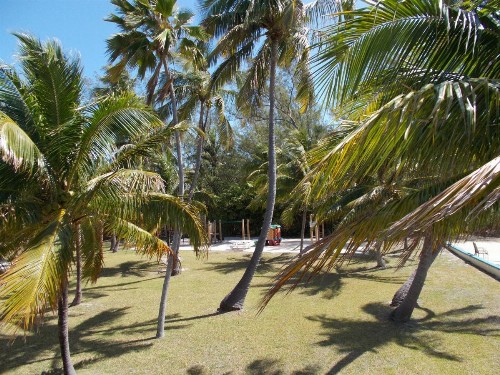 Matecumbe Resort - image 10