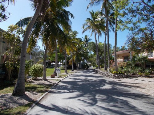 Matecumbe Resort - image 12