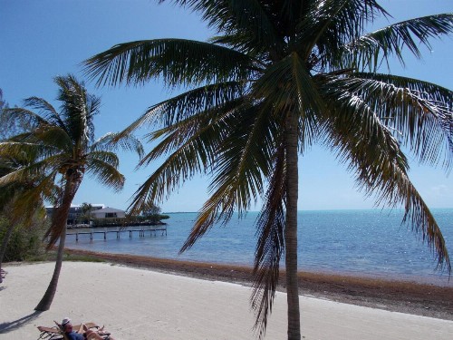 Matecumbe Resort - image 13