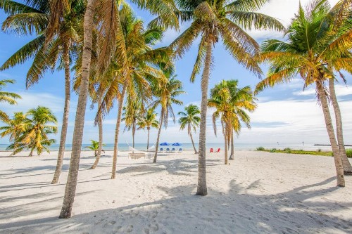 Paradise Beach - image 11