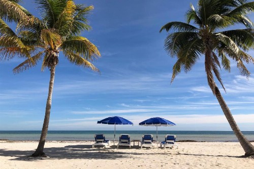 Paradise Beach - image 2