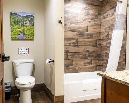 Sawtelle Mountain Resort - image 33