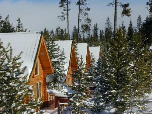 The Pines at Island Park - image 40