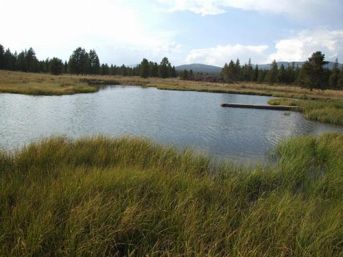 Eagle Ridge Ranch - image 2