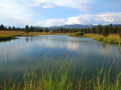 Eagle Ridge Ranch - image 3