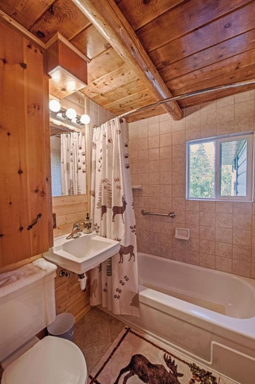 Grandma's Cabin - image 11