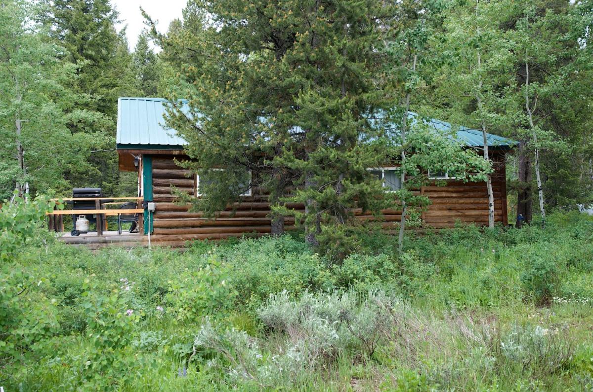 Remington Retreat by KABINO - image 5