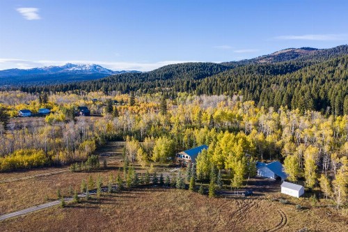 Moose Drool by KABINO - image 29