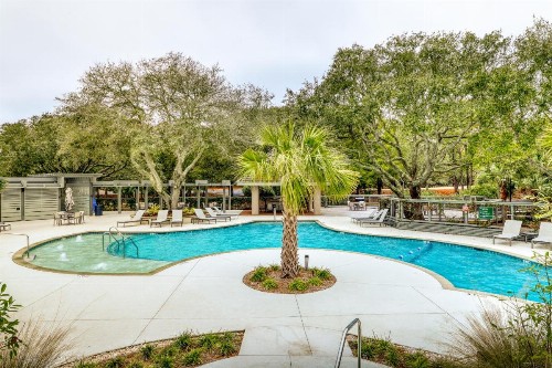 Ocean Club 1311 - image 8