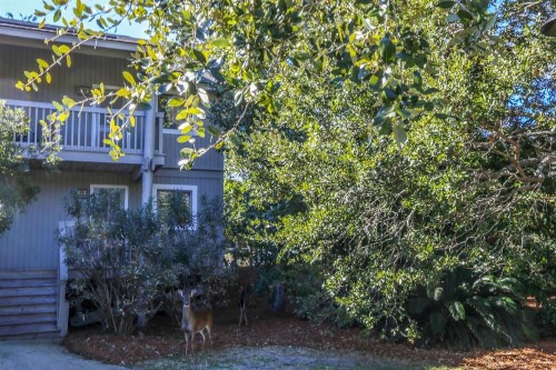 Flip Flop Inn - image 35
