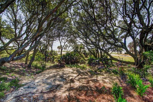 Ocean Club 4209 - image 7
