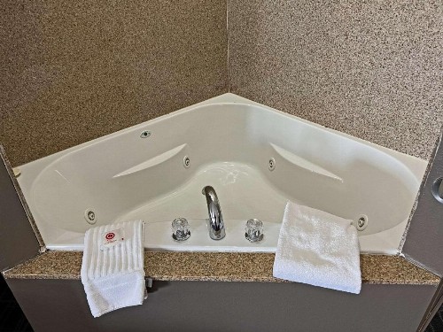 Comfort Suites Jackson - Cape Girardeau - image 10
