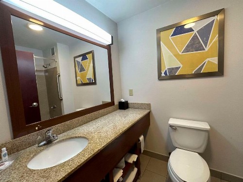 Comfort Suites Jackson - Cape Girardeau - image 16
