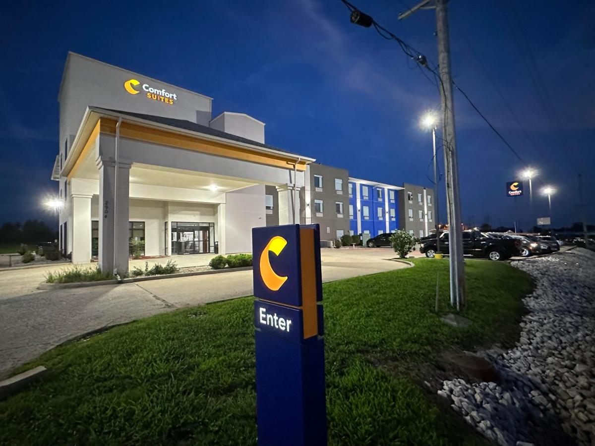 Comfort Suites Jackson - Cape Girardeau - image 2