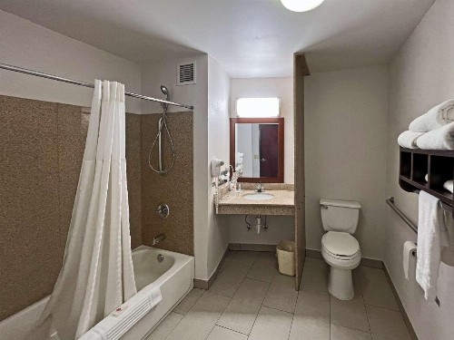 Comfort Suites Jackson - Cape Girardeau - image 9