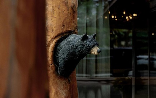 The Lodge at Jackson Hole - image 19