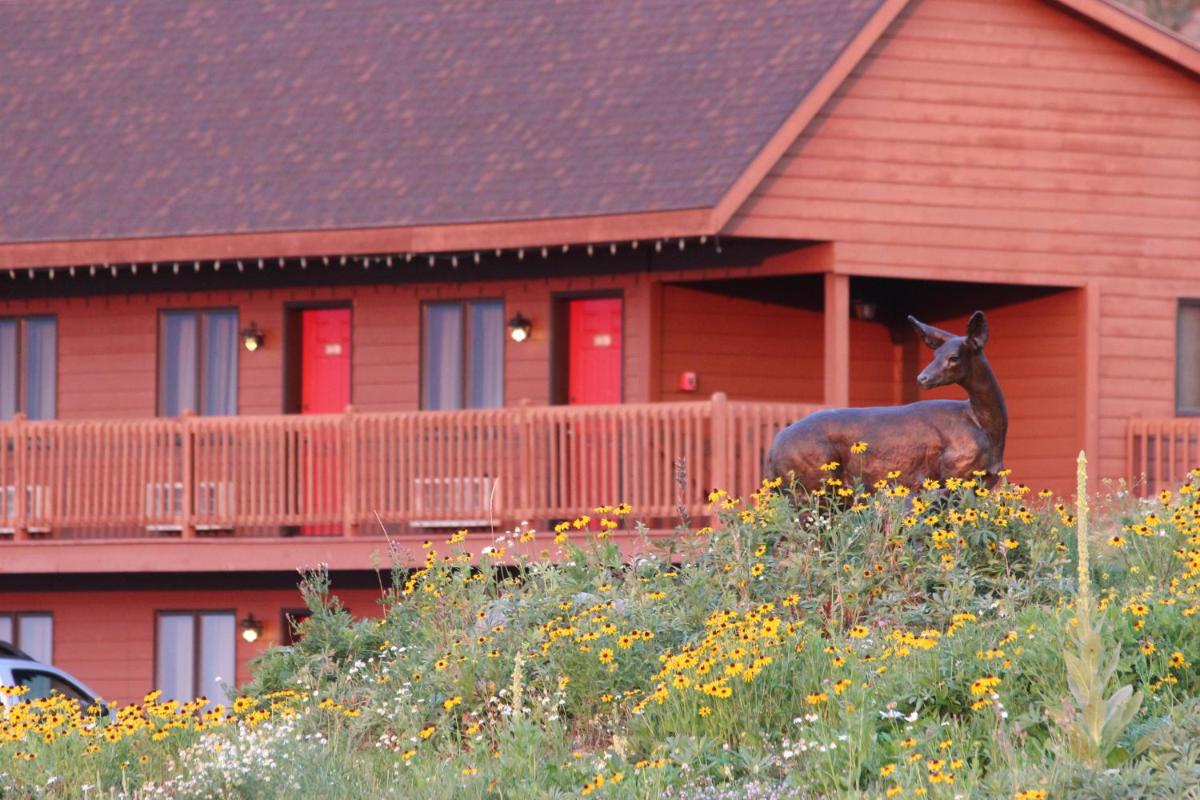 Flat Creek Inn - image 6