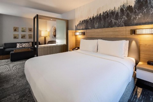 SpringHill Suites by Marriott Jackson Hole - image 27