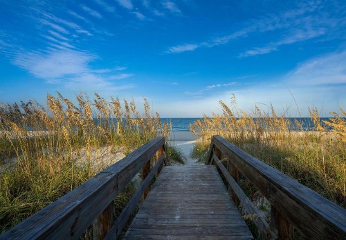 Hampton Inn Oceanfront Jacksonville Beach - image 16