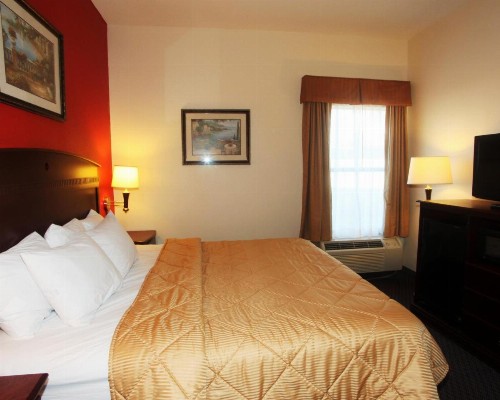 Executive Inn Jacksonville - image 6