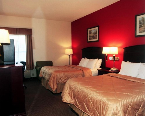 Executive Inn Jacksonville - image 4