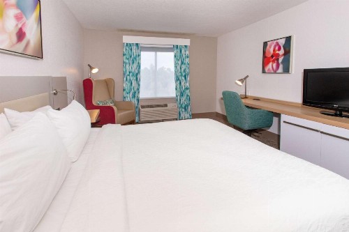 Hilton Garden Inn Jacksonville Airport - image 24