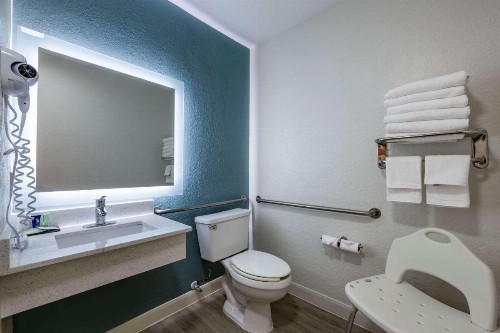 Jacksonville Plaza Hotel and Suites - image 13
